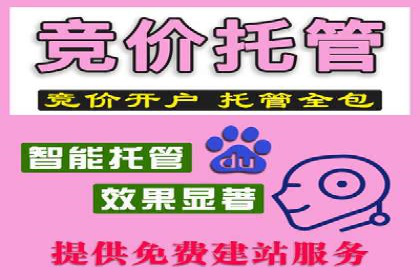 SEM推广代运营公司助力企业实现营销目标